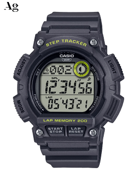 WS-2100H-8AV